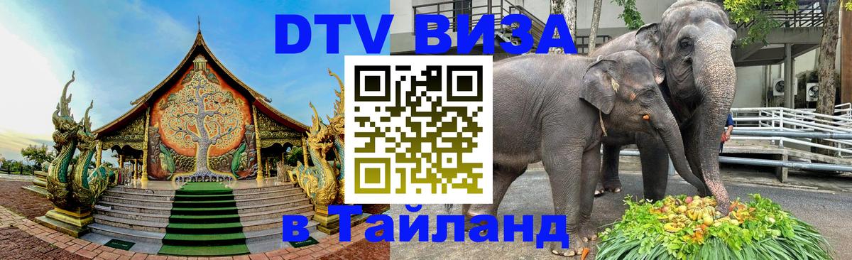 DTV (ДТВ) visa Таиланд Берн 